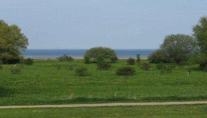 Comwell Koge Strand Exterior foto